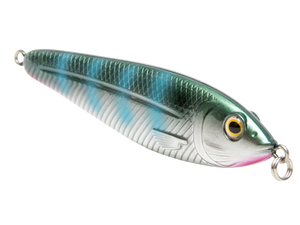 EBS Jigging Spoon