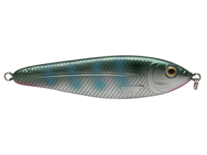 EBS Jigging Spoon