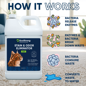 Cat Stain and Odor Eliminator