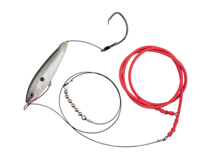 Gatto Loco Catfish Rig