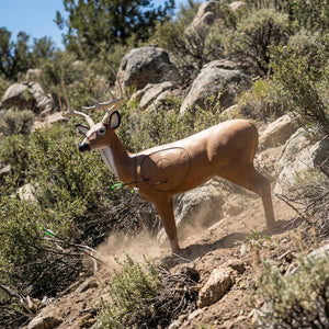 Real Wild 3D Alert Replaceable Vital Deer Buck Archery Target with EZ Pull Foam