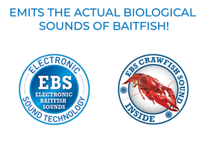 EBS Jigging Spoon