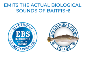 EBS Jigging Spoon
