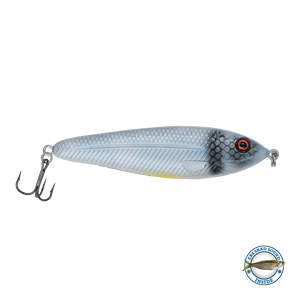 EBS Jigging Spoon