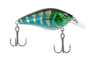 Primetyme CB 1.5