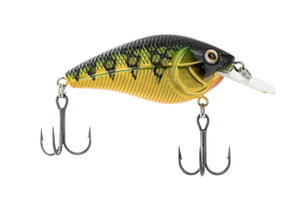 Primetyme CB 1.5