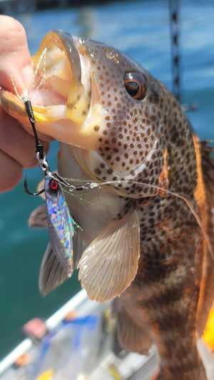 Submission Jigs - Micro Sumo and Mercenary - Slow Pitch Jigs - 2 packs