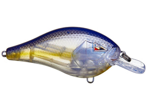 Squarebill Crankbait