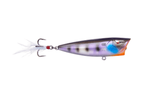 Ark Topwater Popper