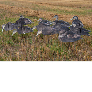 Pro II Lite Black Ducks