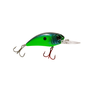 Seeker 12