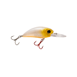 Seeker 12