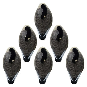 Rugged Series Canada Sleeper Shell Decoys – Flocked Head 6 Pack