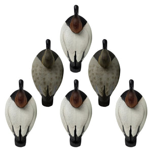 Rugged Series Canvasback Decoys – Foam Filled