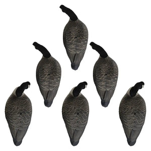 Rugged Series Full Body Canada Goose Feeder Decoys – Flocked Head