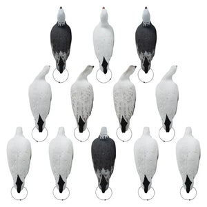 Rugged Series Full Body Snow and Blue Goose Touchdown Decoys 12-Pack