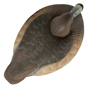 Rugged Series Redhead Decoys – Foam Filled