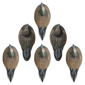 Rugged Series Wigeon