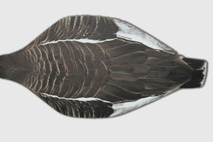 Top Down Decoys® SBS1 Specklebelly-Snow