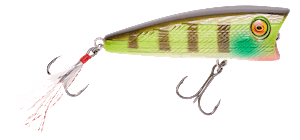V-Pop 80 Popper
