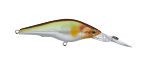 Hardcore Shad