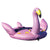 Solstice Watersports 1-2 Rider Lay-On Flamingo Towable