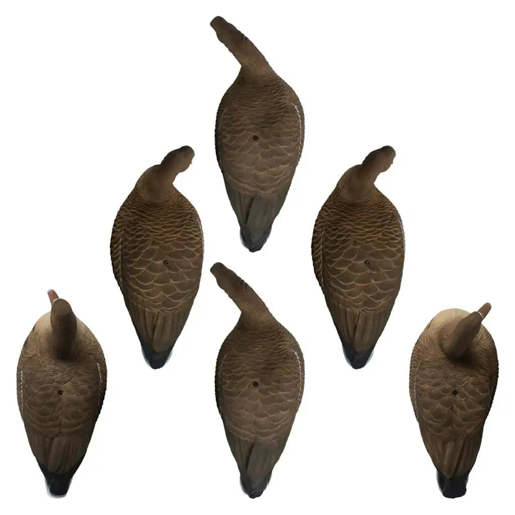 Rugged Series Full Body Specklebelly 6-pack