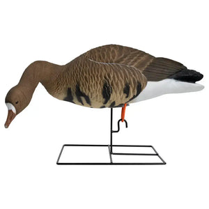 Rugged Series Full Body Specklebelly 6-pack