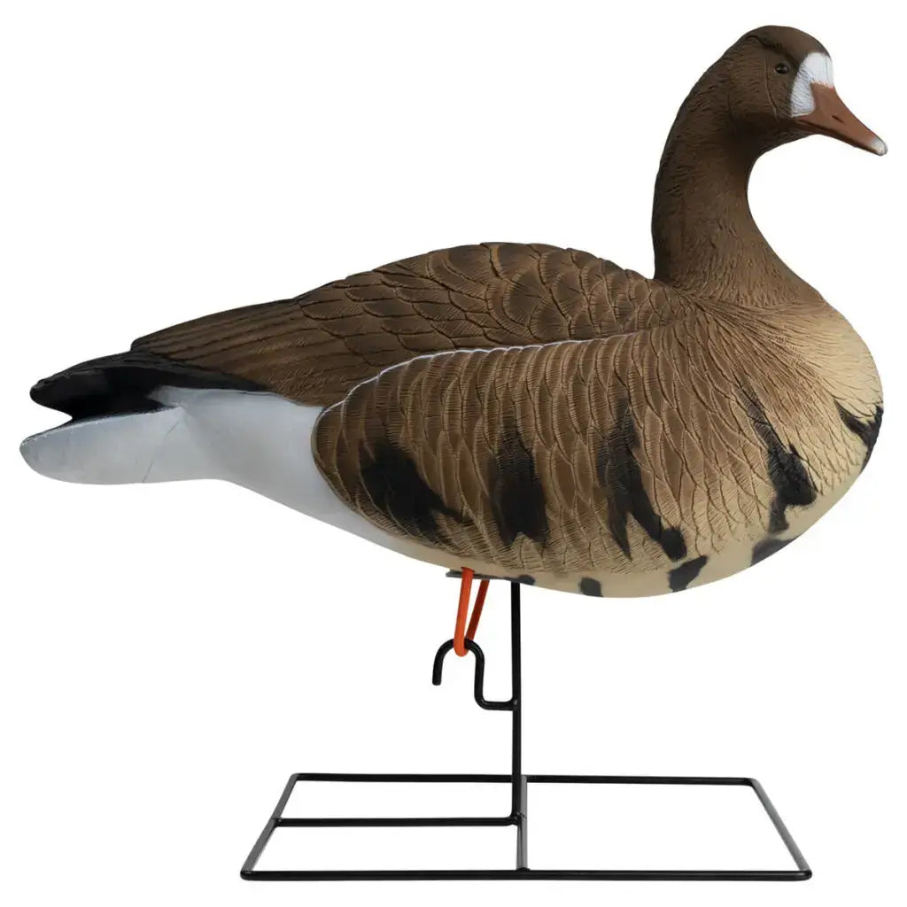 Rugged Series Full Body Specklebelly 6-pack