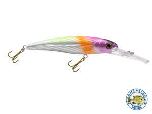 Voyager 15 Walleye