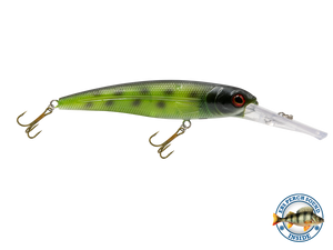 Voyager 15 Walleye
