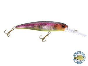 Voyager 15 Walleye