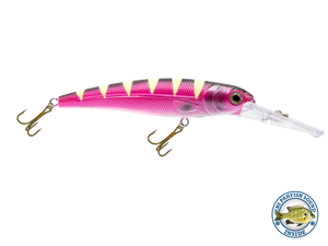 Voyager 15 Walleye