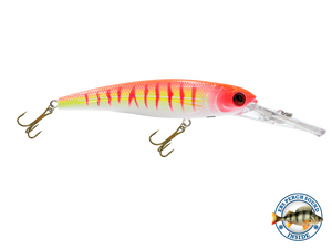 Voyager 15 Walleye