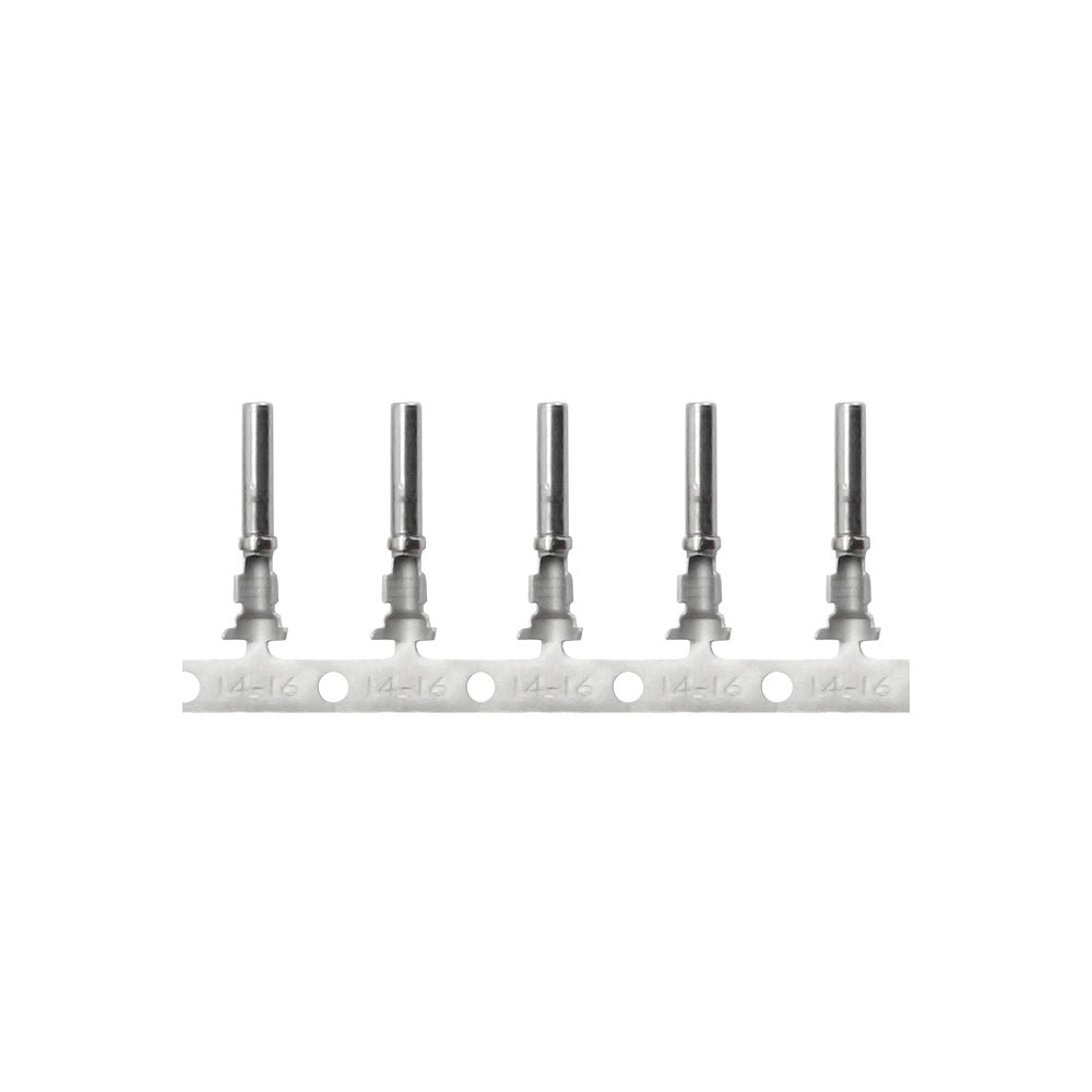 Pacer DT Deutsch Socket f/14-18 AWG Plug - Size 16 Contact - 25 Pack