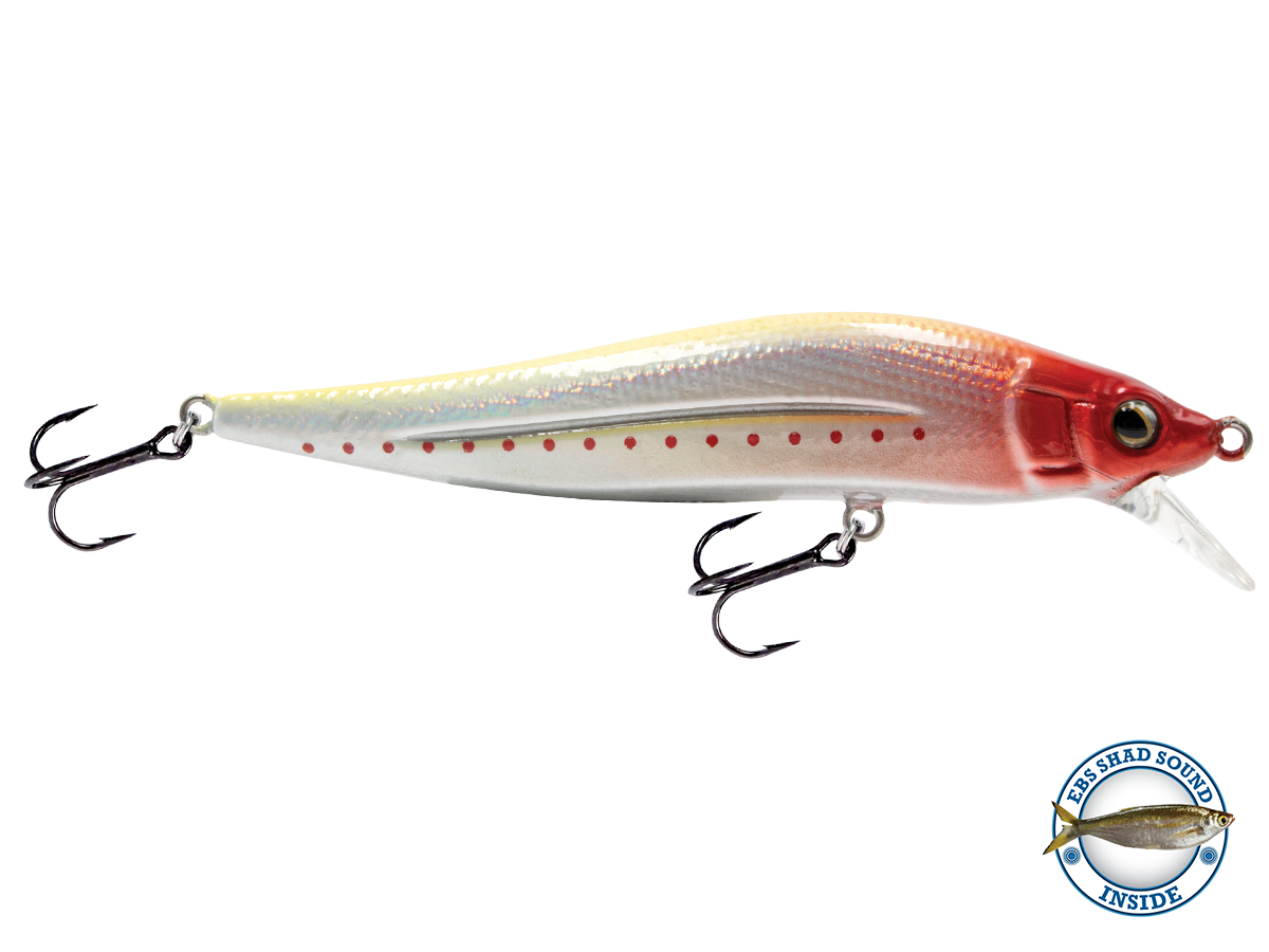 Monster Mike - JerkMaster Jr.