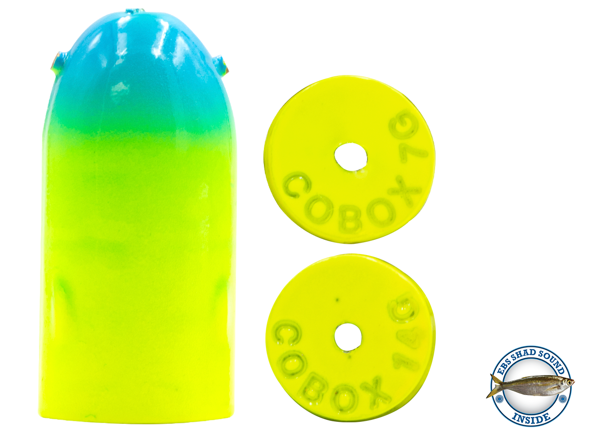 Livingston Bullet Tournament