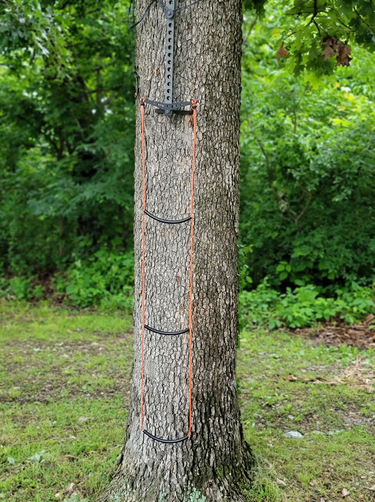 Beast Stick AmSteel® Aider