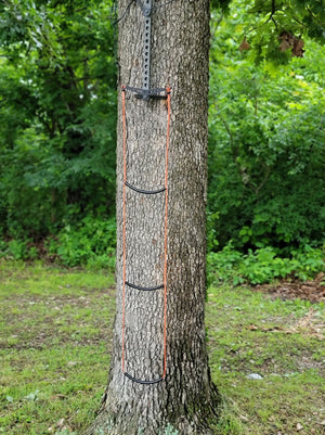Beast Stick AmSteel® Aider