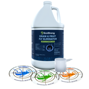 Drain and Fruit Fly Eliminator
