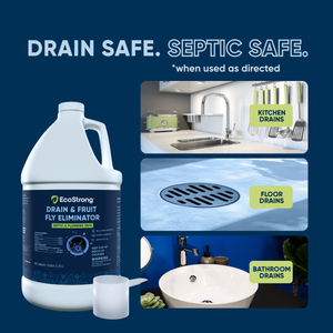 Drain and Fruit Fly Eliminator