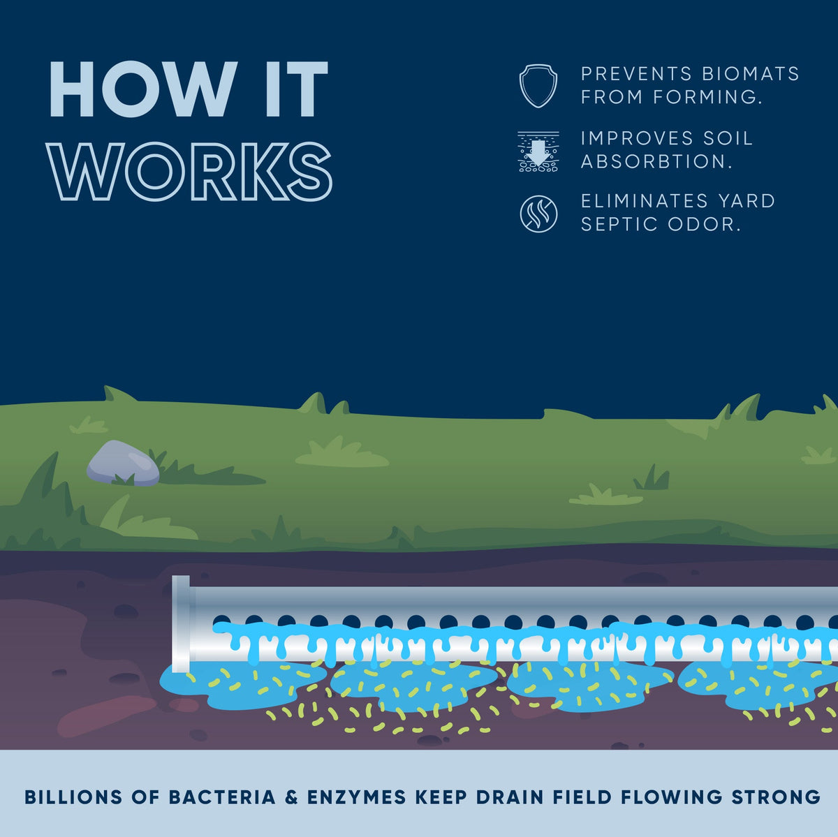 Leach and Drain Field Blast