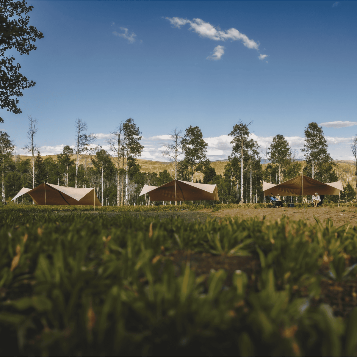 Sunshade Tarp 400
