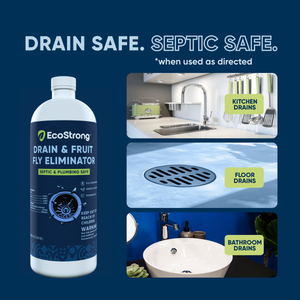 Drain and Fruit Fly Eliminator