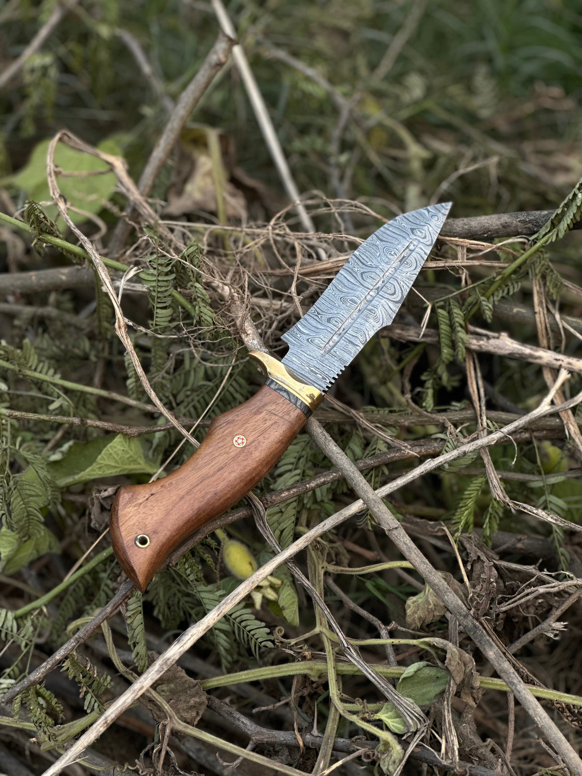Hunting Blade – 10" Damascus Steel Knife with Rosewood Handle, Brass Guard &amp; Leather Sheath