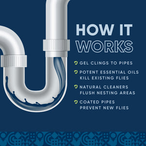 Drain and Fruit Fly Eliminator