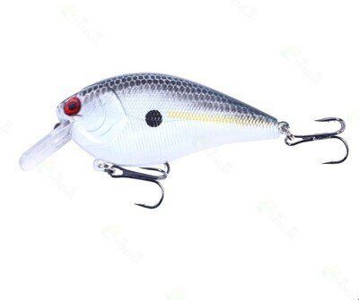 Square Bill (0-5 ft.) - Sexy Shad