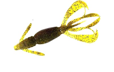 FlapN CritR - Watermelon Pepper