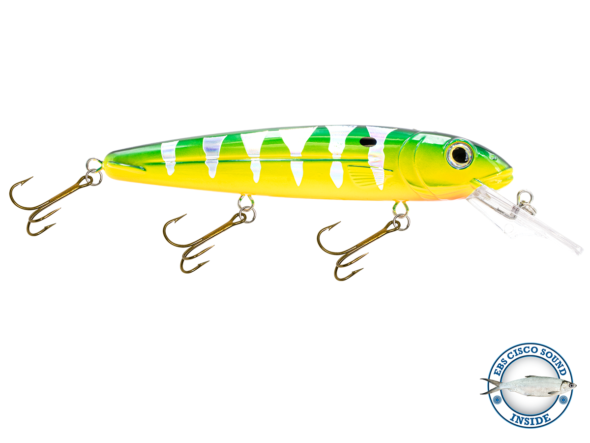 Rachel (Suspending) 8"