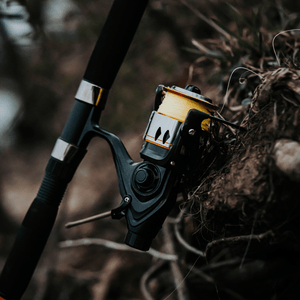 600STS Spinning Reel